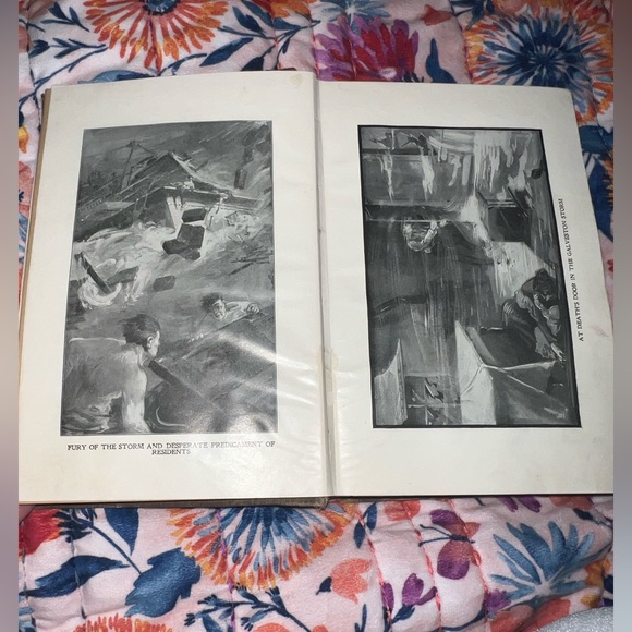 The complete story of the Galveston Horror. - Picture 3 of 12